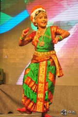 Sarrainodu Movie Blockbuster Function